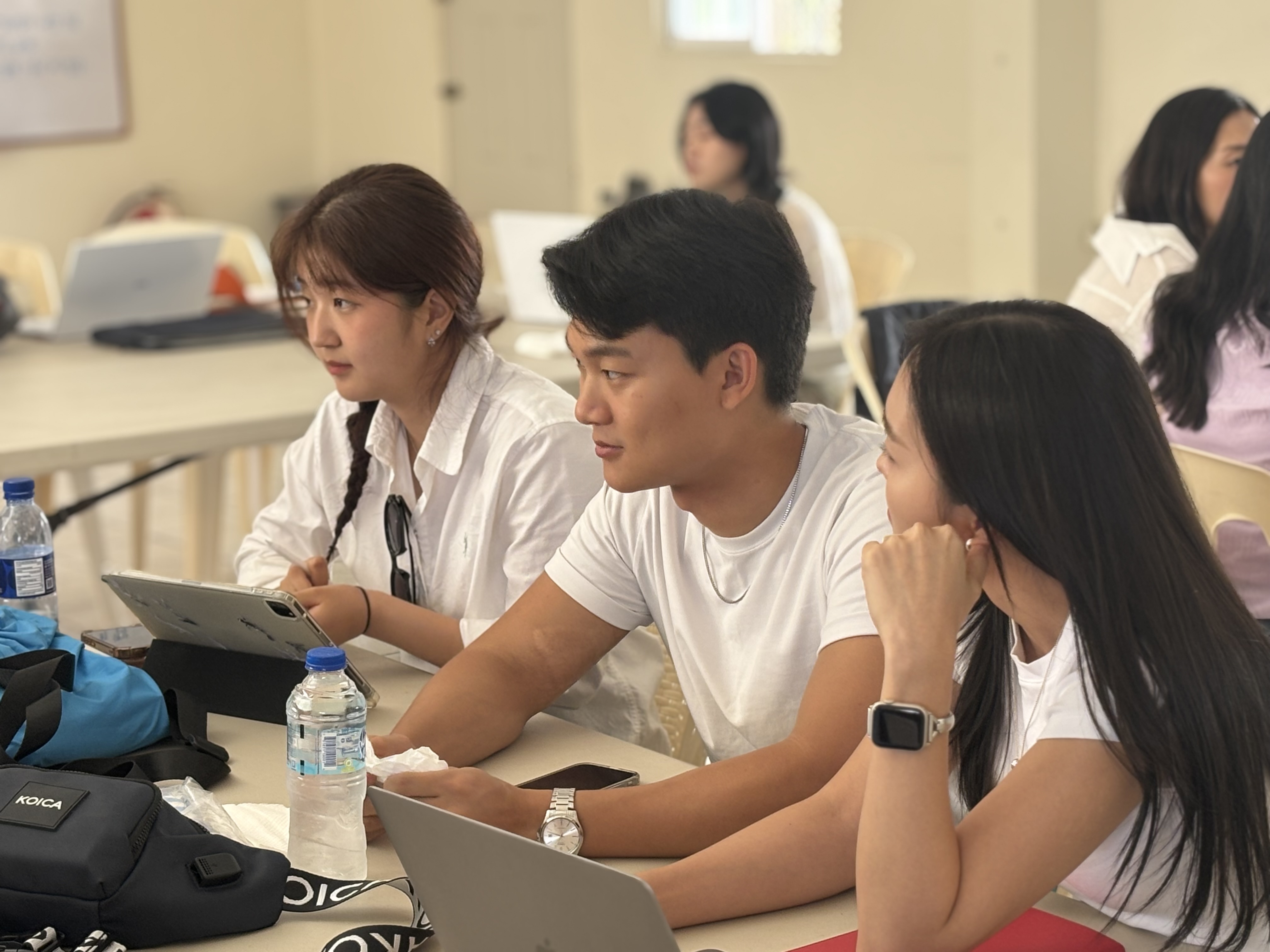 도미니카공화국 문화예술을 통한 청소년 정서 및 심리 치유 프로젝트 봉사단 사업(2025-2028) PMC 용역